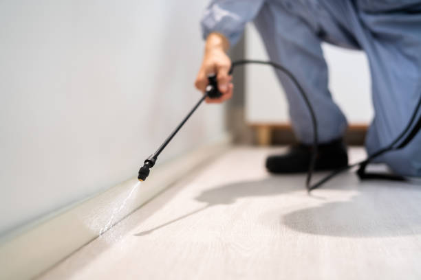 Licensed Pest Control service in Lolo, MT - Show Me Pest Control