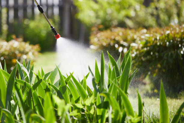 24/7 Emergency Mosquito Control experts in Lolo, MT
